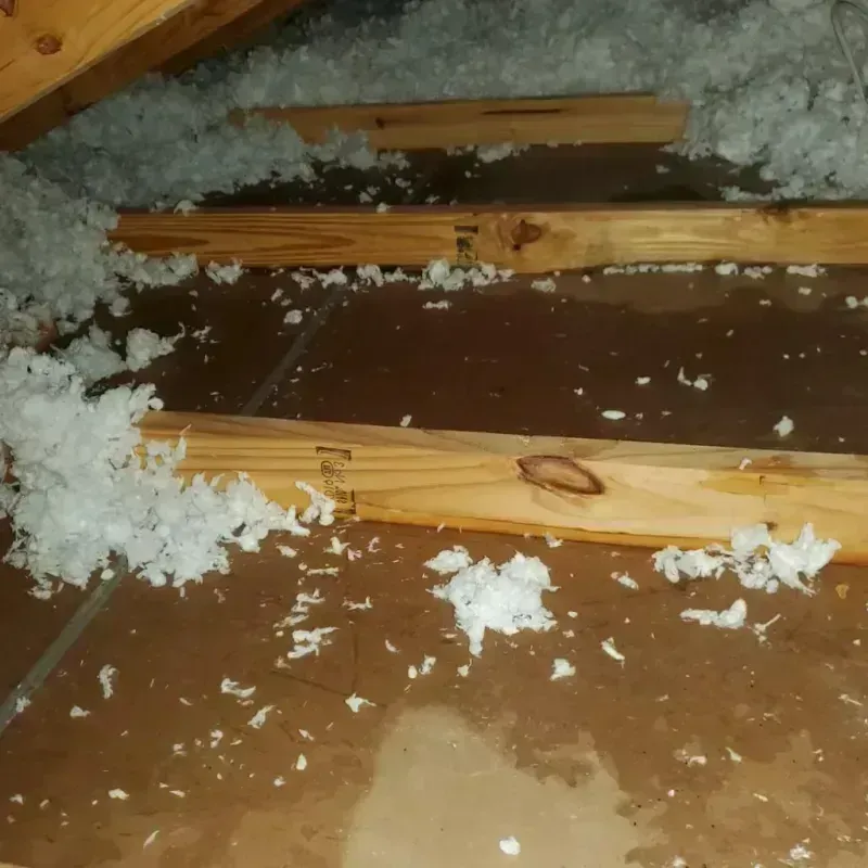 Attic Water Damage in Oneida County, ID