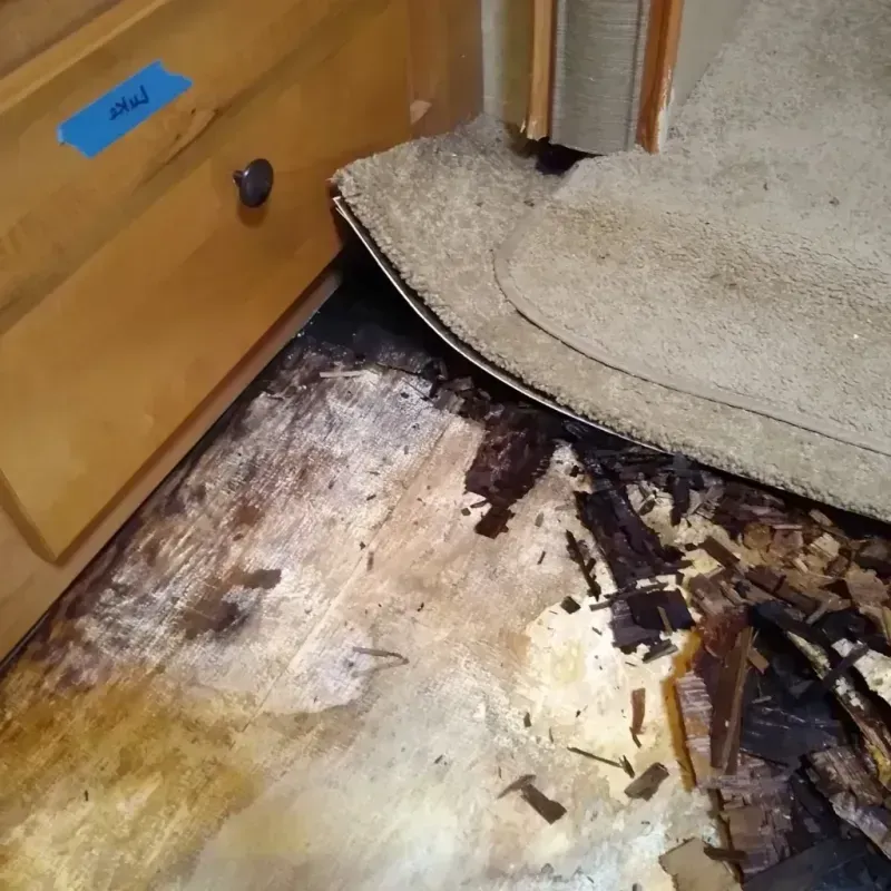 Wood Floor Water Damage in Oneida County, ID